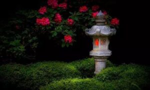 Giardino Zen di sera